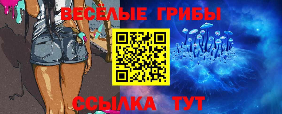 где можно купить наркотик  Псилоцибиновые грибы Cubensis  Усть-Илимск  Вход с VPN  Псилоцибиновые грибы ЛСД 